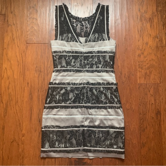 🌈 BCBG Lace Stripe Dress in Warm Grey | Size 6 - Picture 2 of 9
